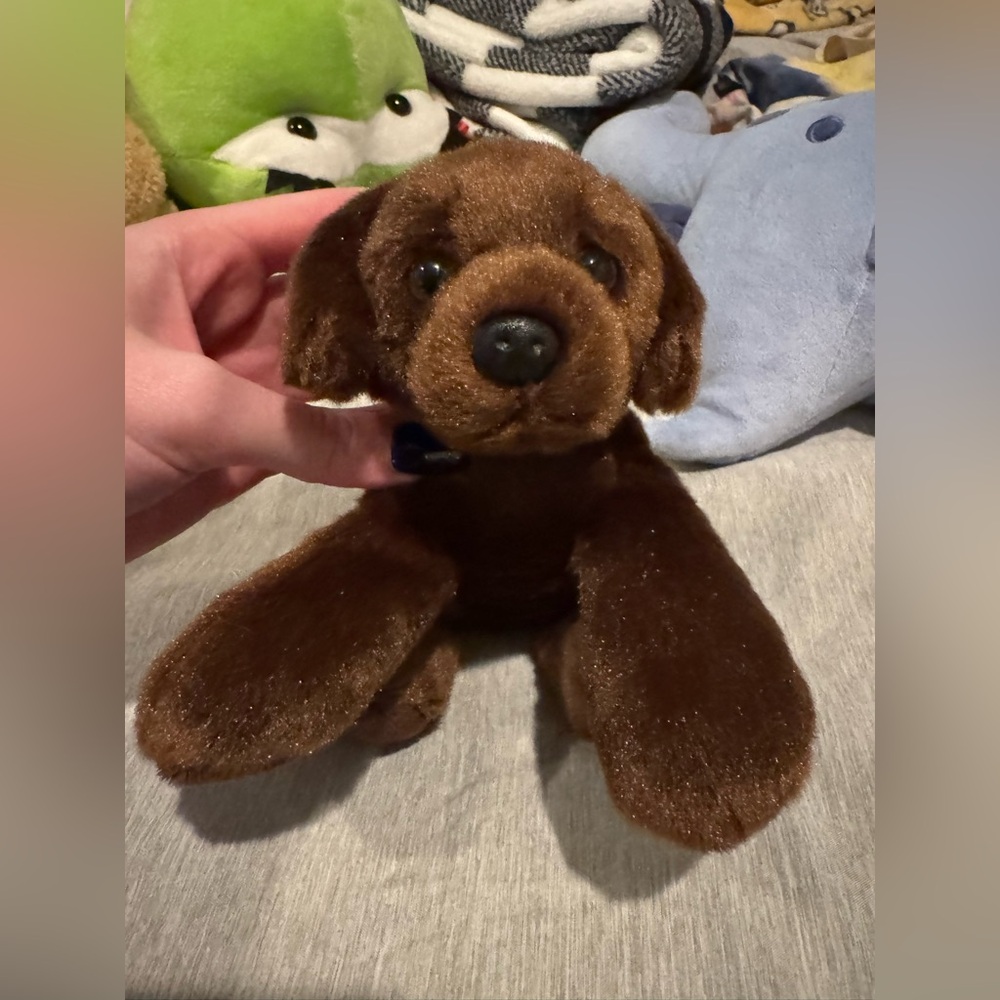 Brown Puppy (stuffed animal)